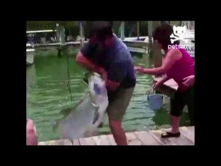 how to catch a huge fish with your hands - miscellaneous - funny